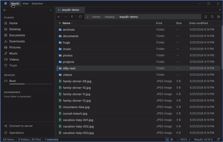 Waydir customization and theming