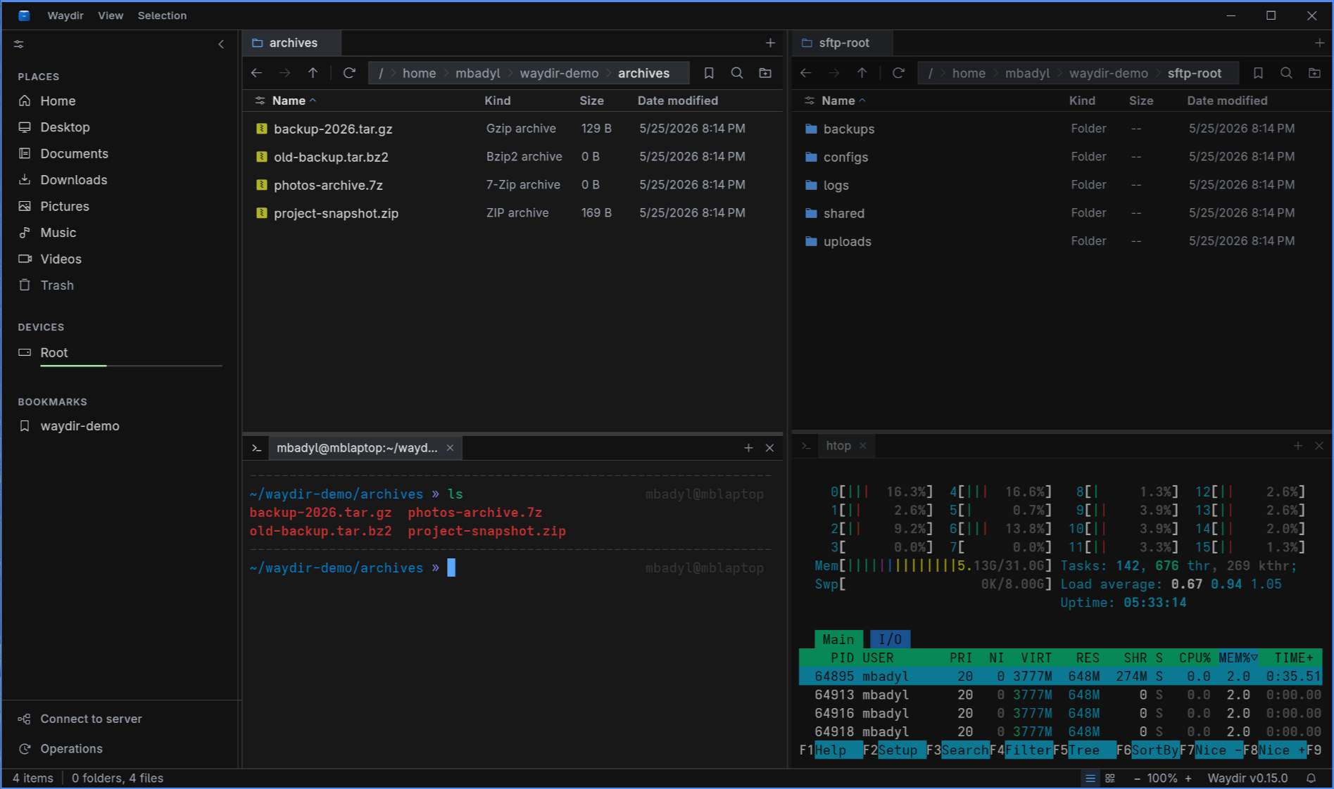 Waydir dual-pane desktop file manager interface
