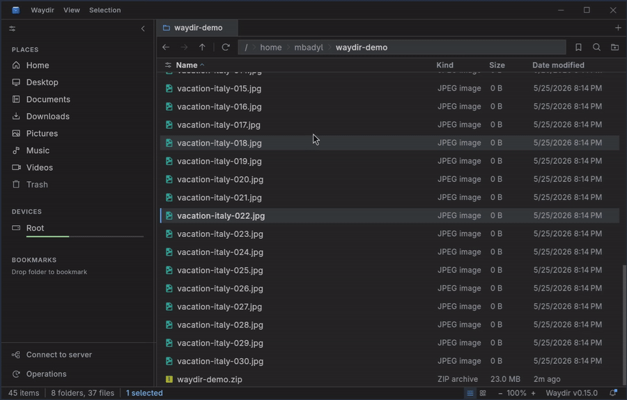Waydir tabs in a file pane
