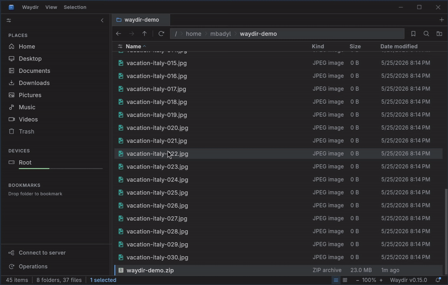 Waydir built-in terminal opened for a file pane